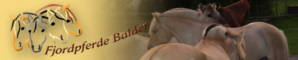 Logo-Balder