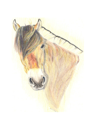 Baldur